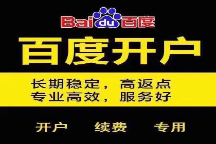 百度推广账户日常管理及优化技巧——以某品牌为例